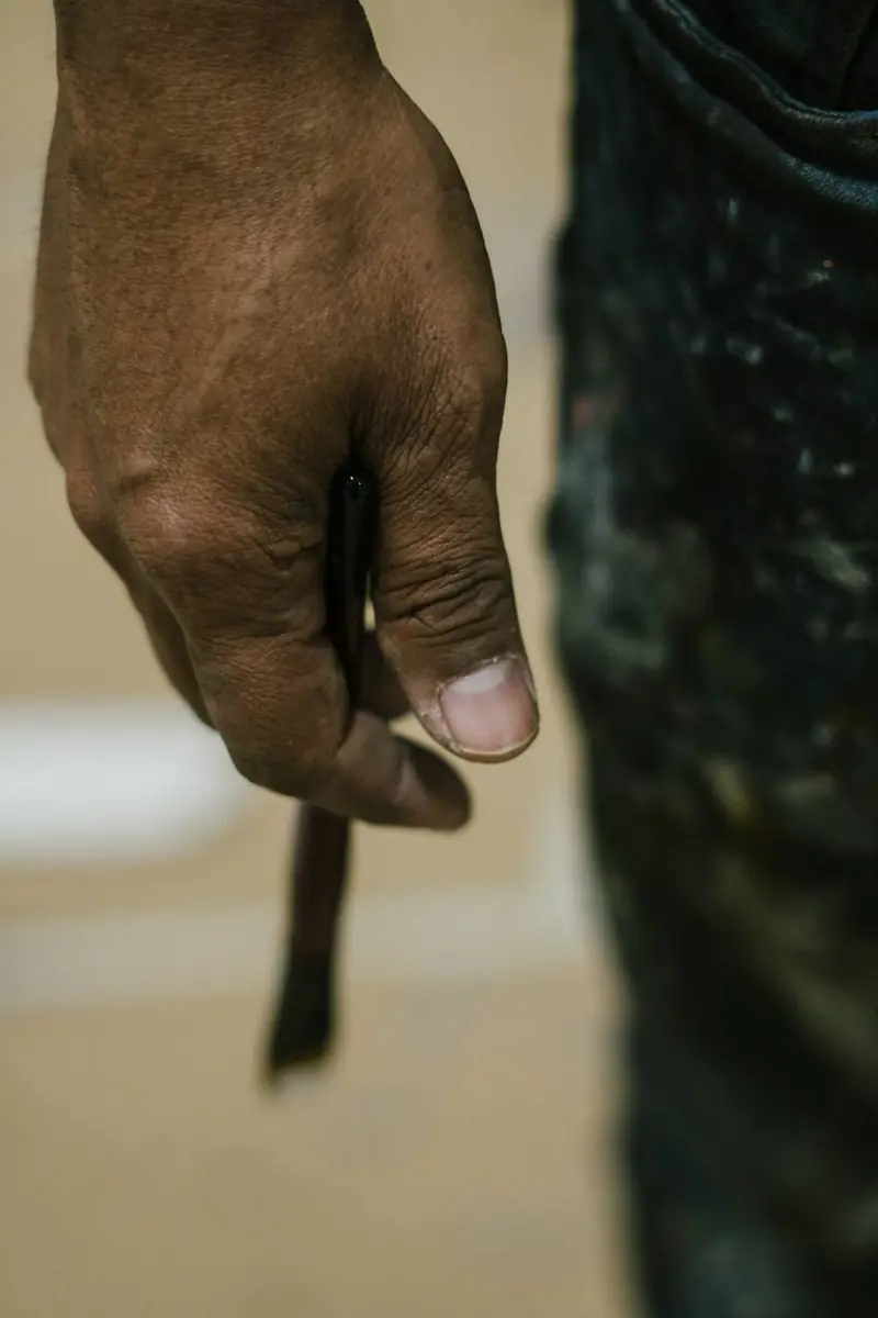 The artist’s hand and brush: the intimate gesture of the craft